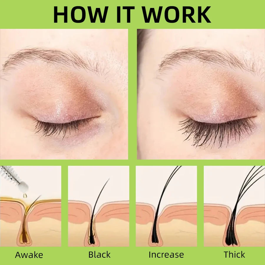 KAFURUX Moist Liquid Eyelash & Eyebrow Extension Serum – Long Thick Curl and Natural Eyelash & Brow Care